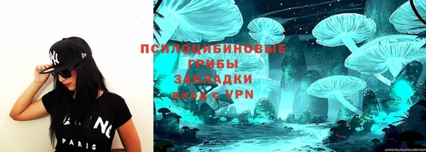 круглые Алзамай