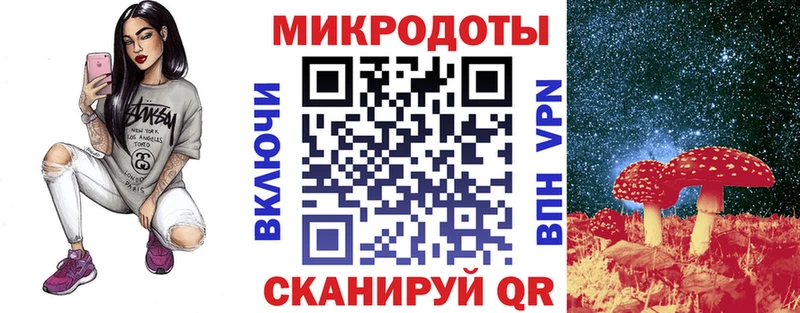 Псилоцибиновые грибы MAGIC MUSHROOMS  где купить наркоту  MEGA ссылки  Галич 